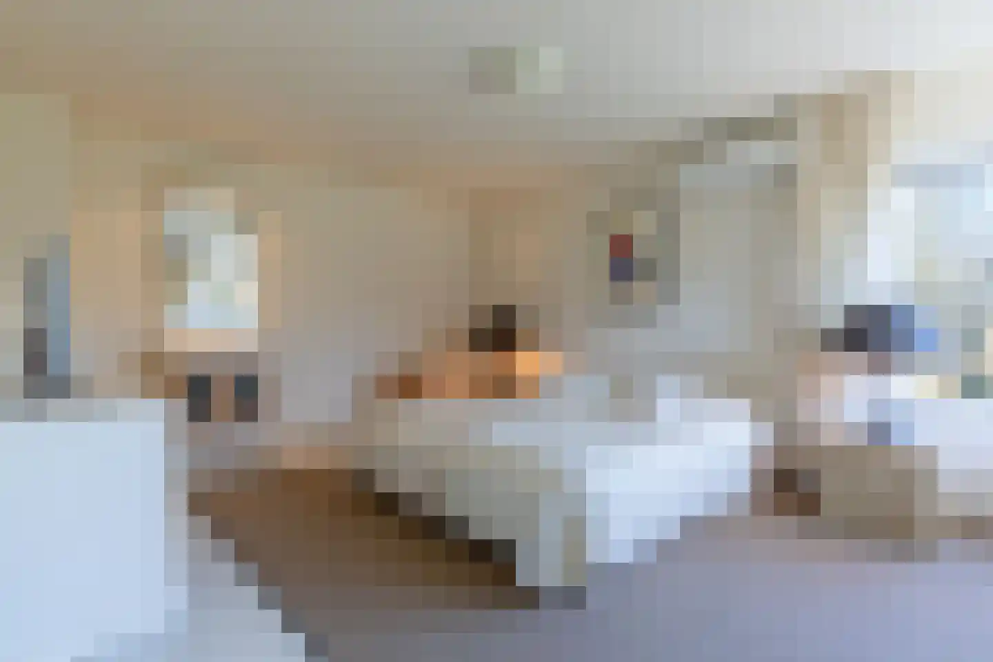 't Böschke 9 Klimmen thumbnail 24