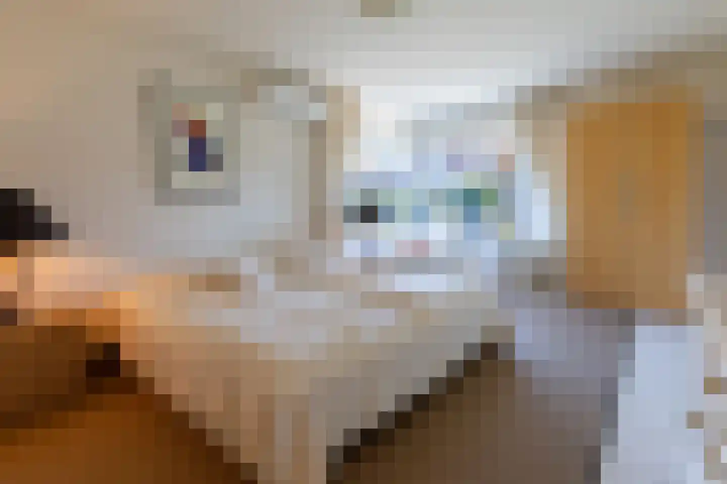 't Böschke 9 Klimmen thumbnail 25