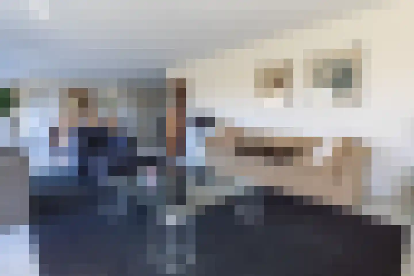 't Böschke 9 Klimmen thumbnail 4