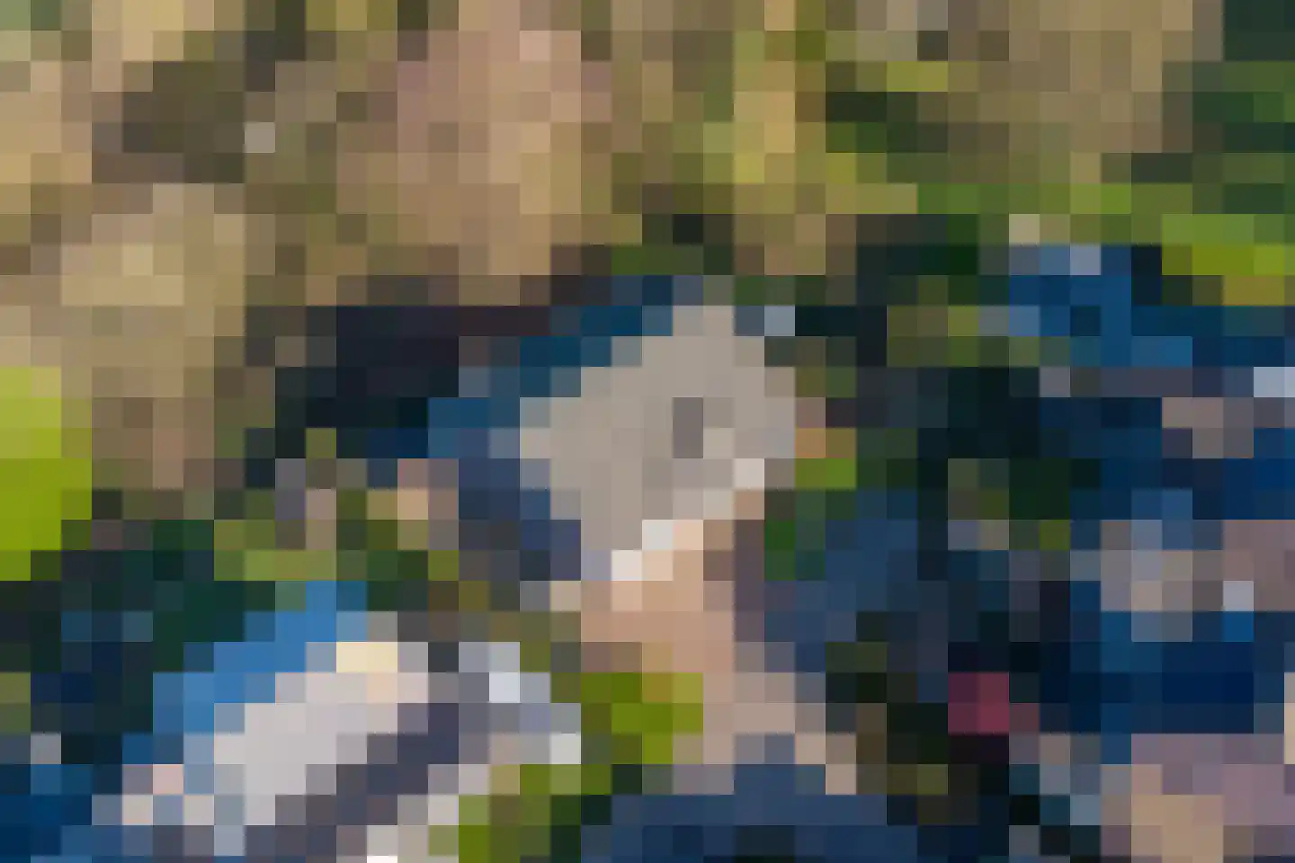 't Böschke 9 Klimmen thumbnail 41