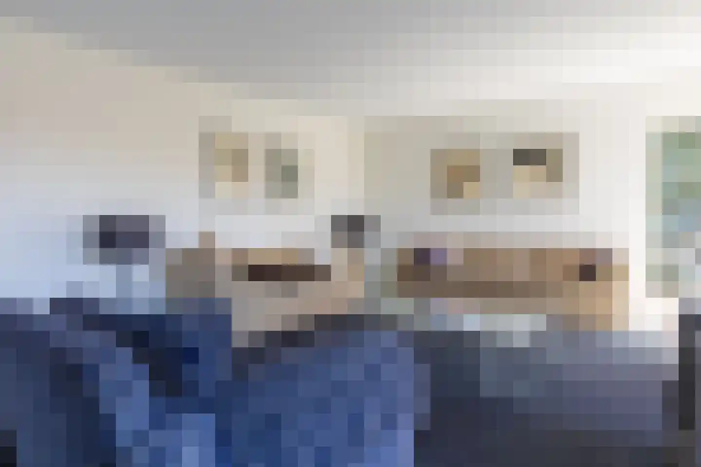 't Böschke 9 Klimmen thumbnail 5