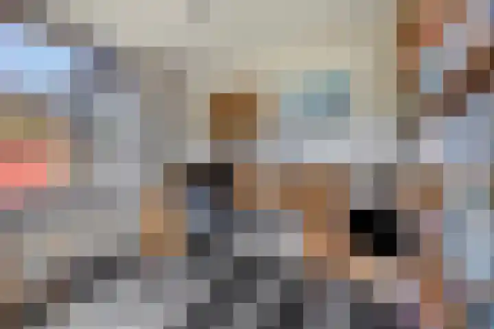 't Boschstuk 29 Scherpenzeel thumbnail 10