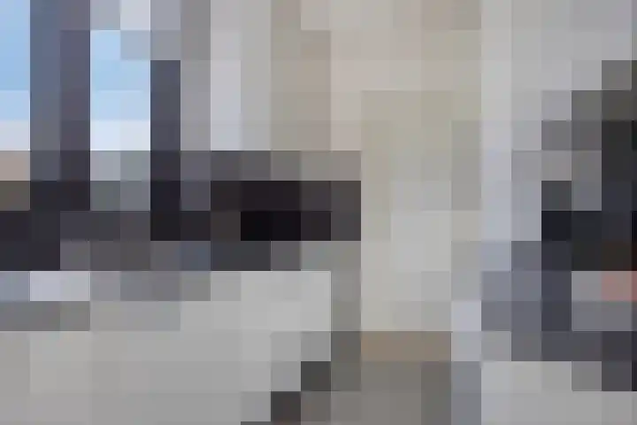 't Boschstuk 29 Scherpenzeel thumbnail 13
