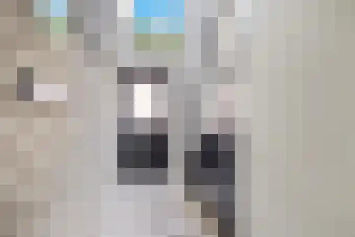 't Boschstuk 29 Scherpenzeel thumbnail 14