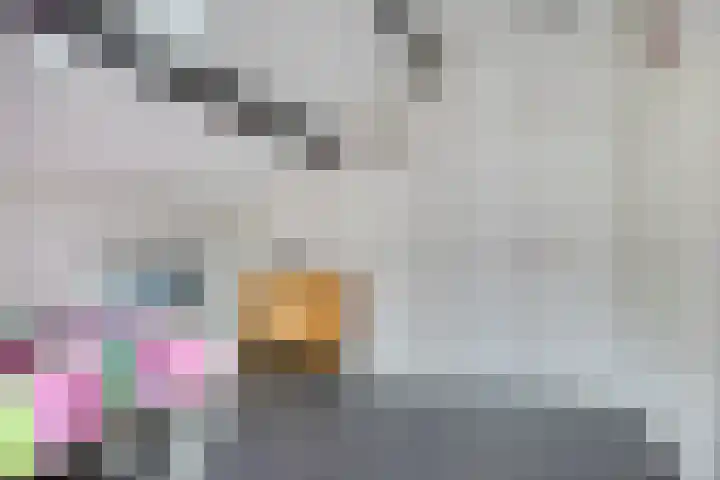 't Boschstuk 29 Scherpenzeel thumbnail 17