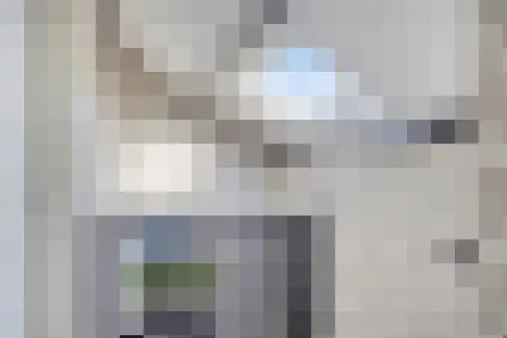 't Boschstuk 29 Scherpenzeel thumbnail 20