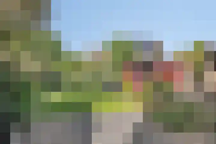 't Boschstuk 29 Scherpenzeel thumbnail 23