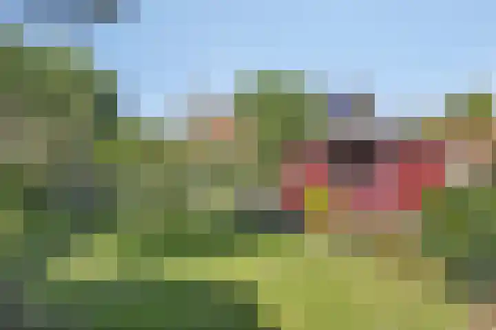 't Boschstuk 29 Scherpenzeel thumbnail 24
