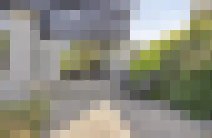 't Boschstuk 29 Scherpenzeel thumbnail 25