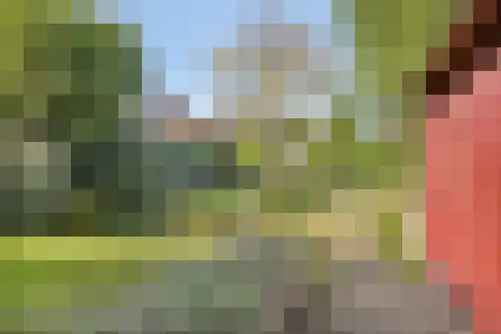 't Boschstuk 29 Scherpenzeel thumbnail 26
