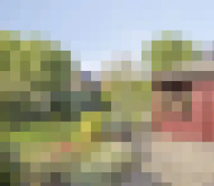't Boschstuk 29 Scherpenzeel foto 3