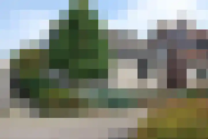 't Boschstuk 29 Scherpenzeel thumbnail 32