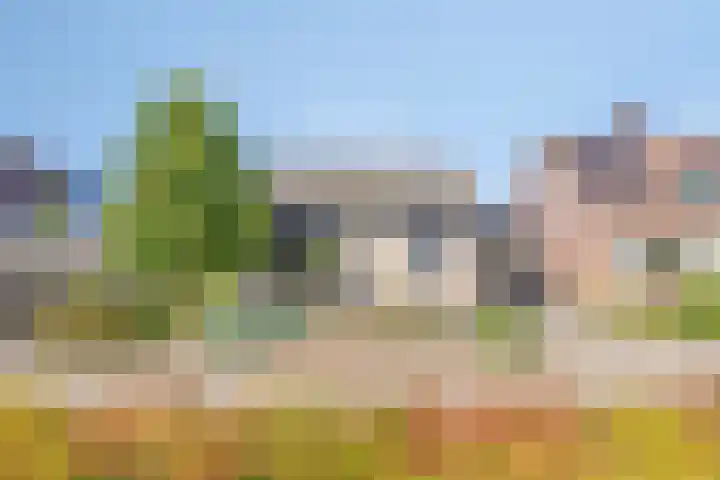 't Boschstuk 29 Scherpenzeel thumbnail 33