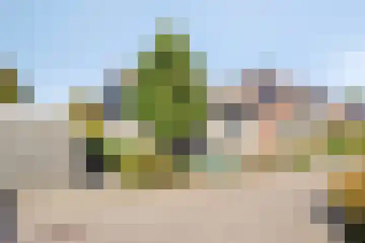 't Boschstuk 29 Scherpenzeel thumbnail 34