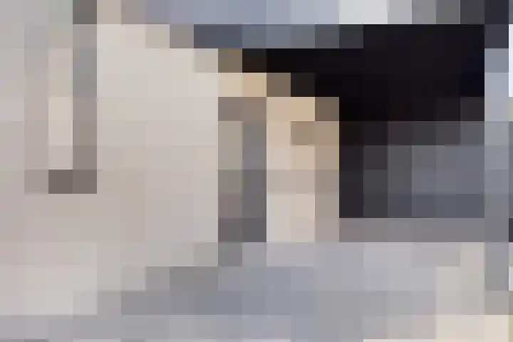 't Boschstuk 29 Scherpenzeel thumbnail 35