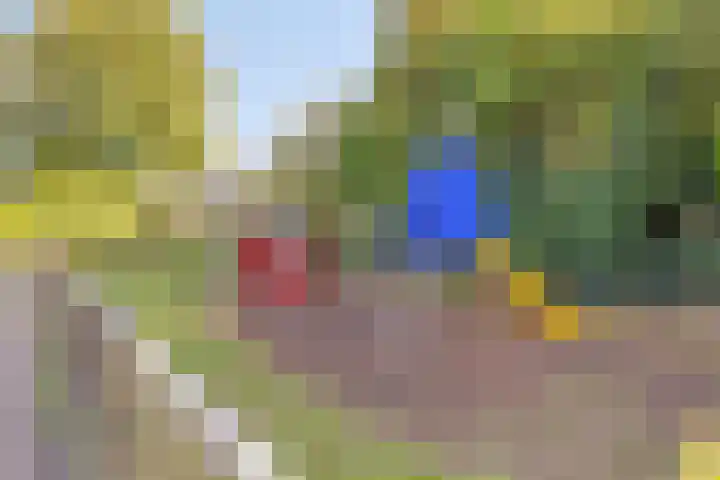 't Boschstuk 29 Scherpenzeel thumbnail 36