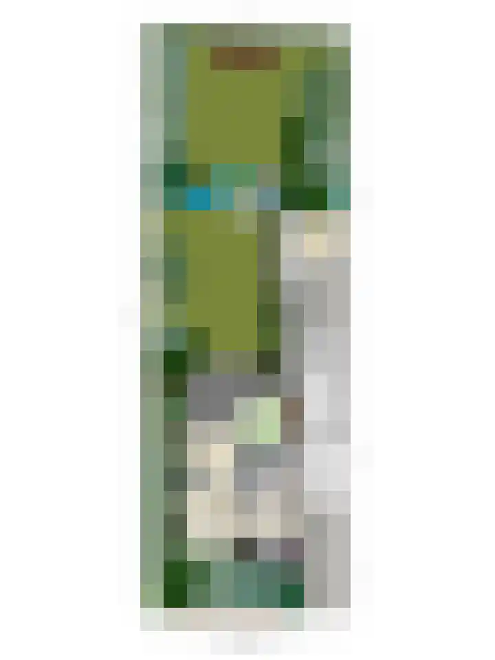 't Boschstuk 29 Scherpenzeel thumbnail 38