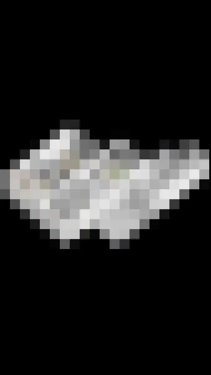 't Boschstuk 29 Scherpenzeel thumbnail 41