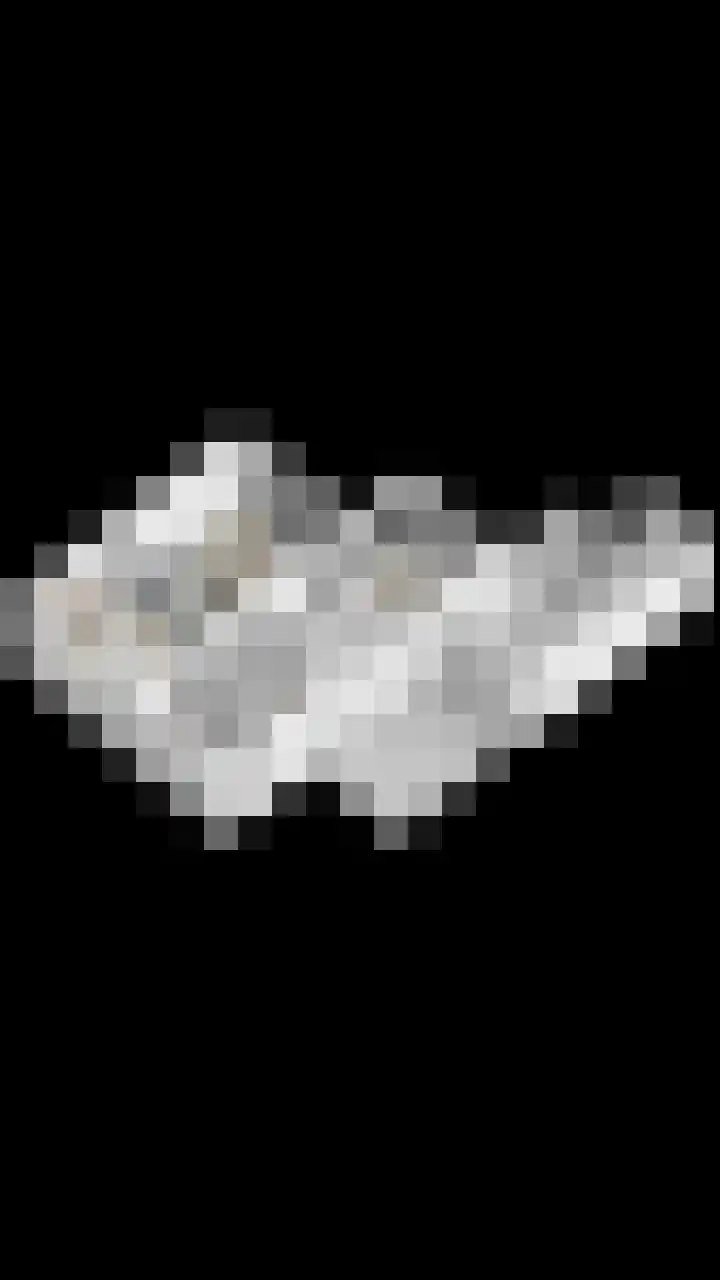 't Boschstuk 29 Scherpenzeel thumbnail 45