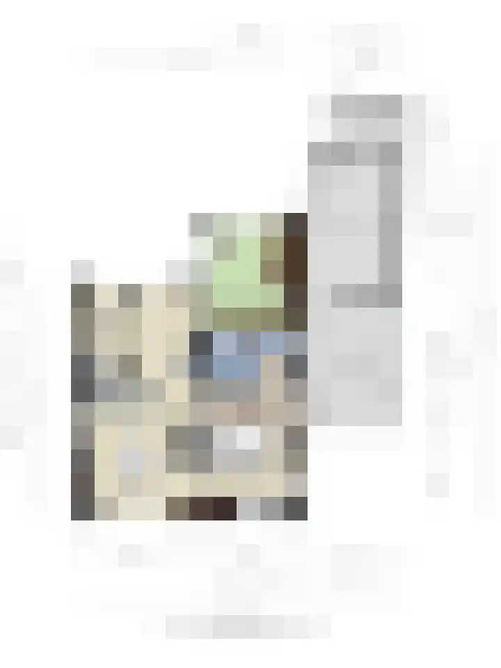 't Boschstuk 29 Scherpenzeel thumbnail 48