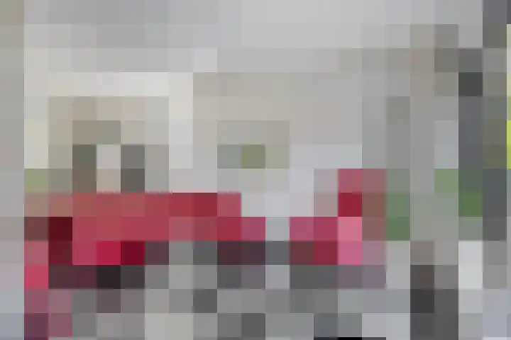 't Boschstuk 29 Scherpenzeel thumbnail 5