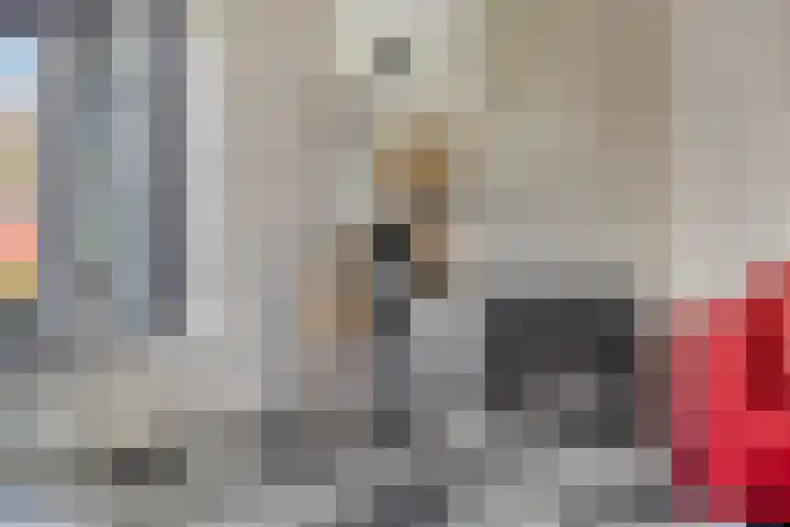 't Boschstuk 29 Scherpenzeel thumbnail 8