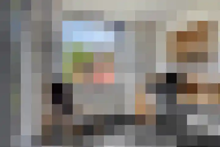 't Boschstuk 29 Scherpenzeel thumbnail 9
