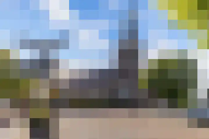 't Bosk 55 Wommels thumbnail 10