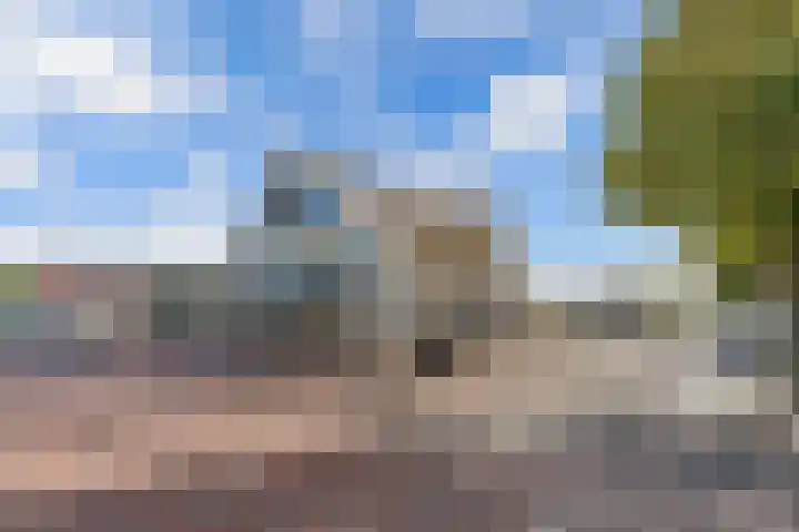 't Bosk 55 Wommels thumbnail 11