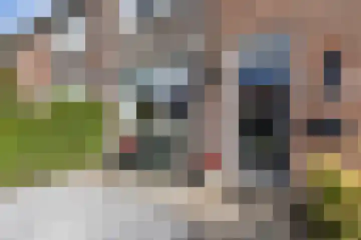 't Bosk 55 Wommels thumbnail 12