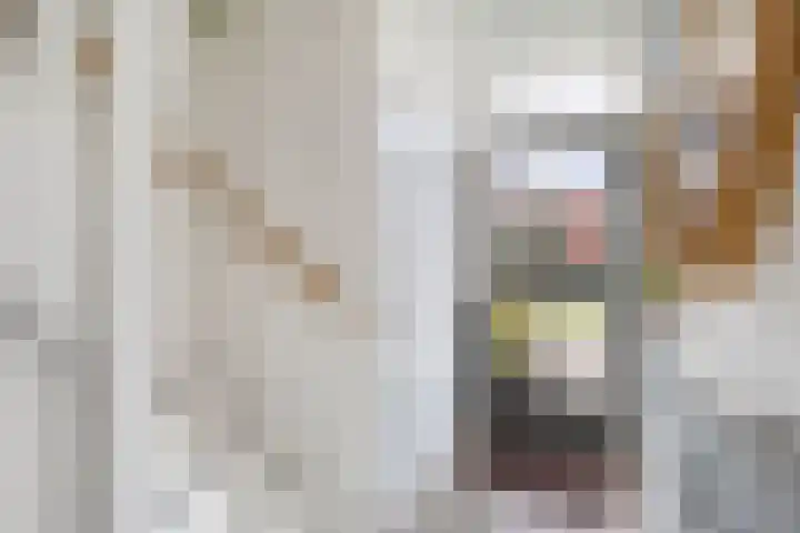't Bosk 55 Wommels thumbnail 14