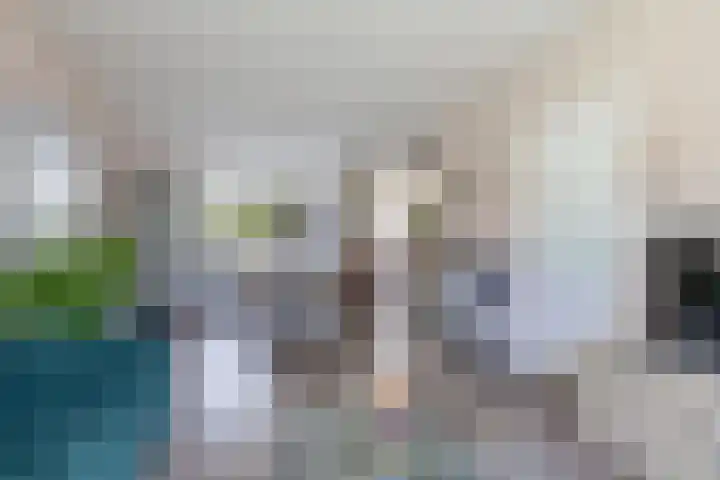 't Bosk 55 Wommels thumbnail 17