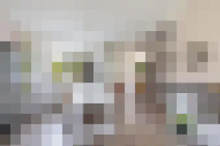 't Bosk 55 Wommels thumbnail 18
