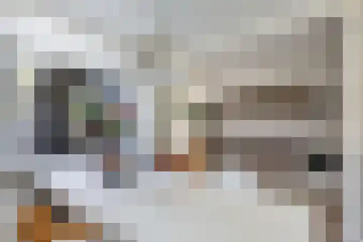 't Bosk 55 Wommels thumbnail 19