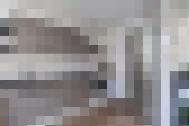 't Bosk 55 Wommels thumbnail 21