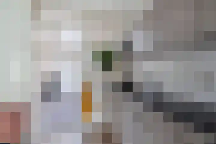 't Bosk 55 Wommels thumbnail 22