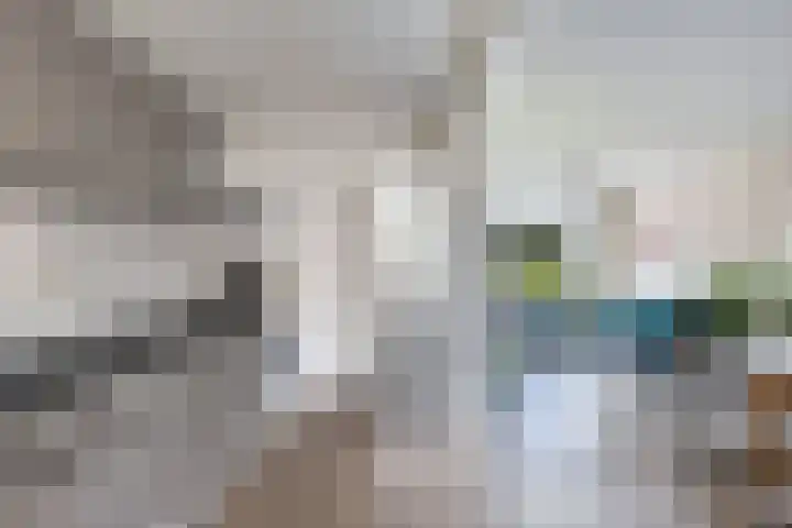 't Bosk 55 Wommels thumbnail 23