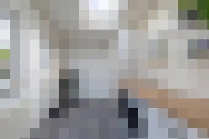 't Bosk 55 Wommels thumbnail 24