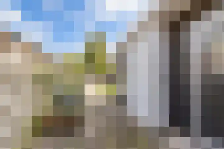 't Bosk 55 Wommels thumbnail 26