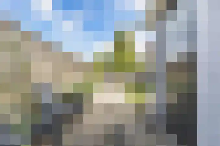 't Bosk 55 Wommels thumbnail 27
