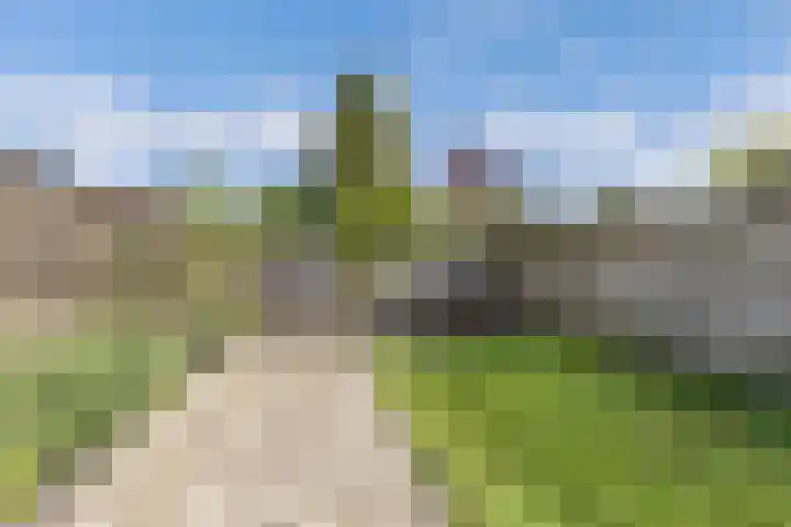 't Bosk 55 Wommels thumbnail 28