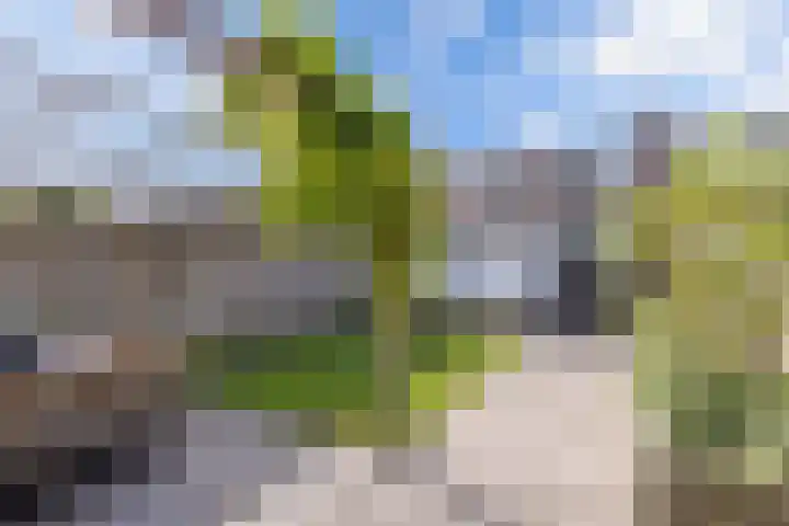't Bosk 55 Wommels thumbnail 31
