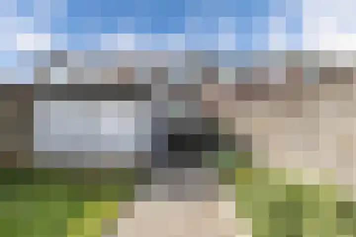 't Bosk 55 Wommels thumbnail 32