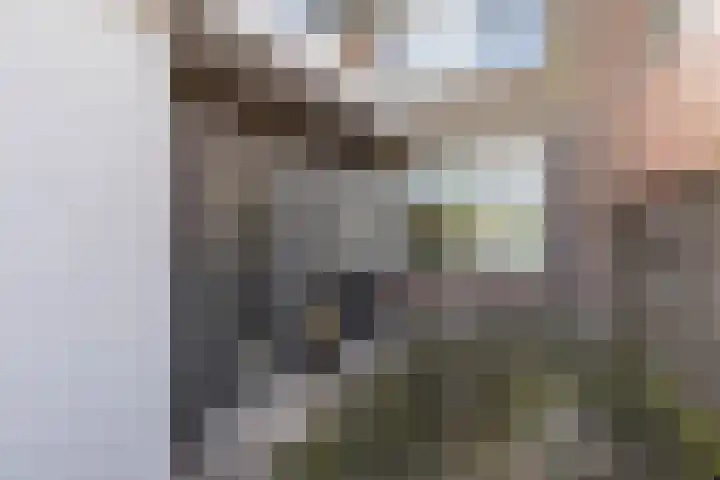 't Bosk 55 Wommels thumbnail 33