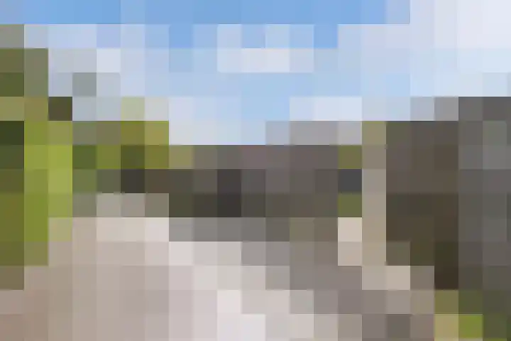 't Bosk 55 Wommels thumbnail 35