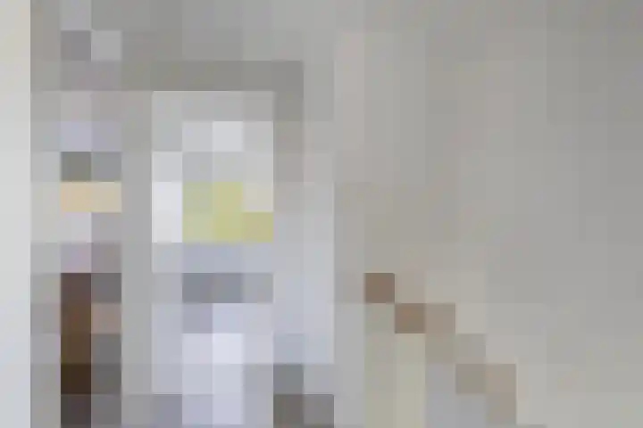't Bosk 55 Wommels thumbnail 36