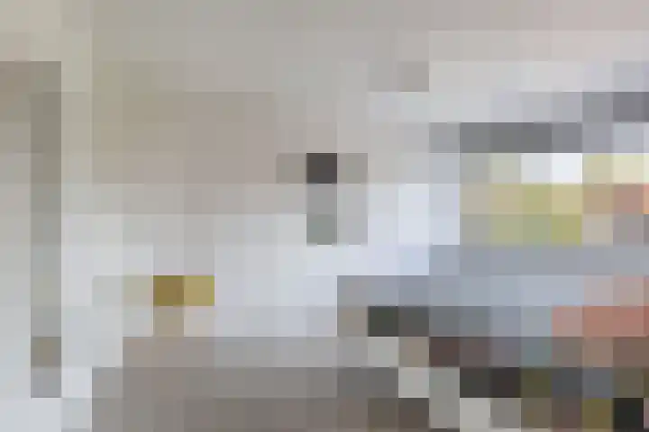 't Bosk 55 Wommels thumbnail 37