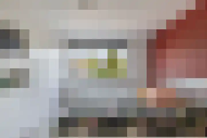 't Bosk 55 Wommels thumbnail 38