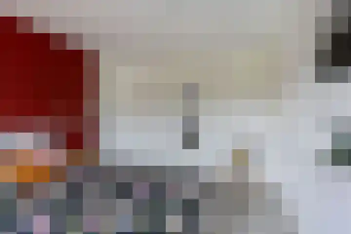 't Bosk 55 Wommels thumbnail 39