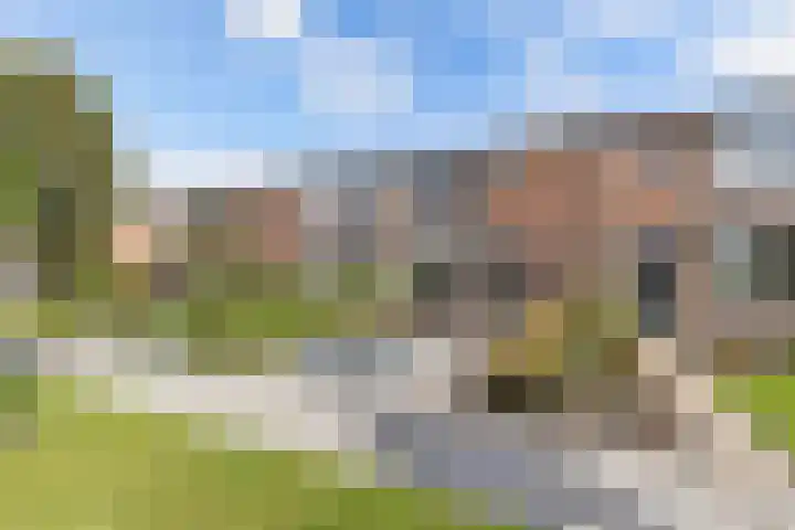 't Bosk 55 Wommels thumbnail 4
